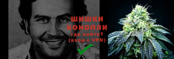 мдпв Покачи