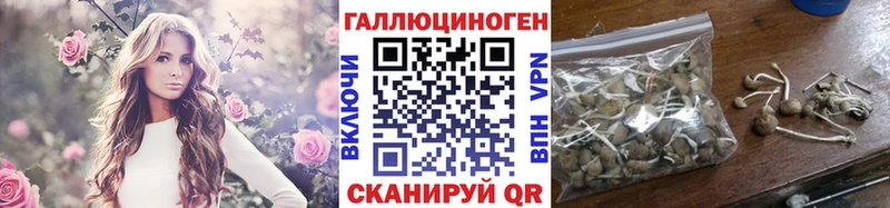 KRAKEN вход  Сосновоборск  darknet состав  Галлюциногенные грибы Psilocybe 