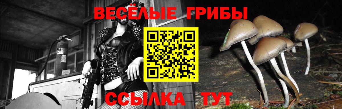 Галлюциногенные грибы MAGIC MUSHROOMS  Вход с VPN  Псилоцибиновые грибы мицелий  Сосновоборск 